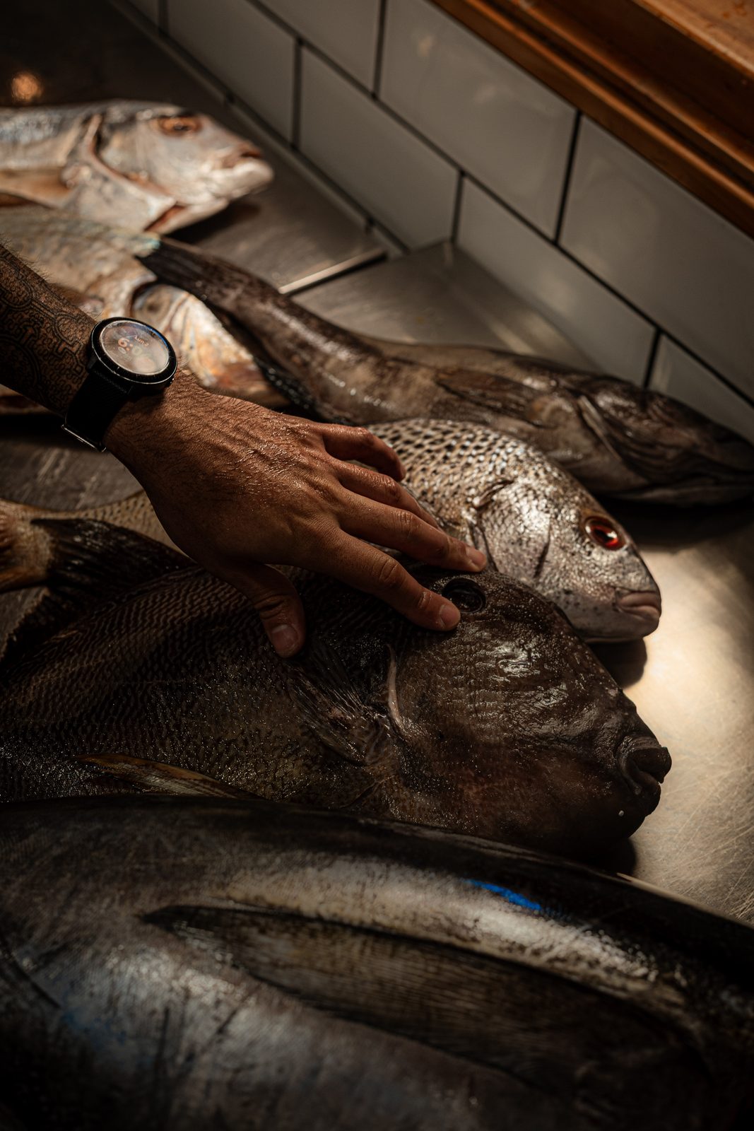 Hands resting on the day's catch