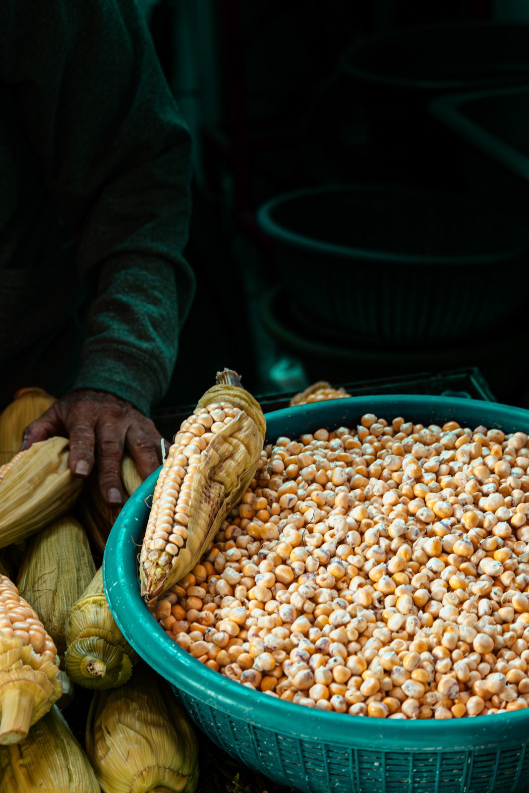El Tizoncito — maize, where the tortilla begins